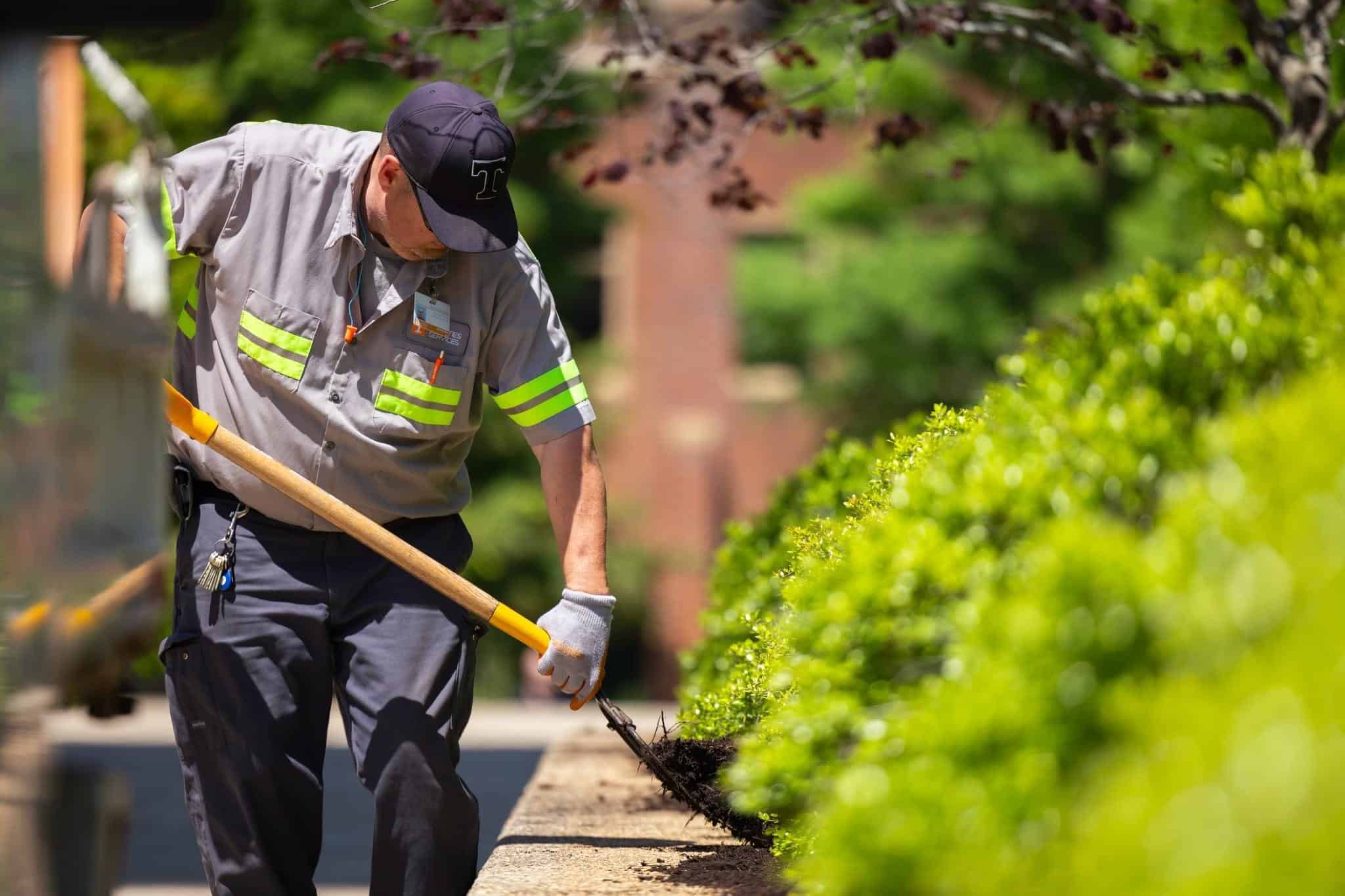Landscape Services crew members spread mulch on UT campus