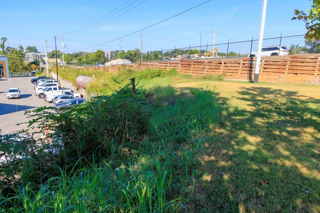 Grassy, overgrown slope beside a parking lot and wooden retaining wall, before goat grazing.